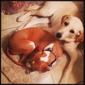 Meet your Posher, Heather